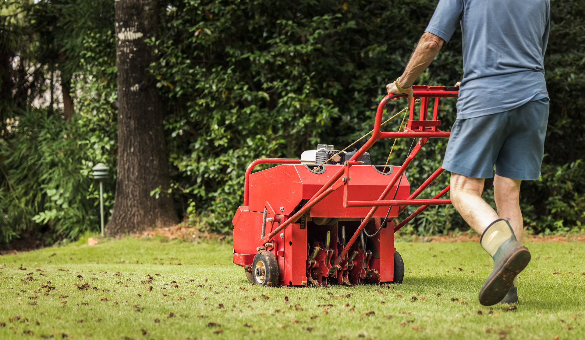 A man is using a red lawn mower to spread fertilizer on a lush green lawn.