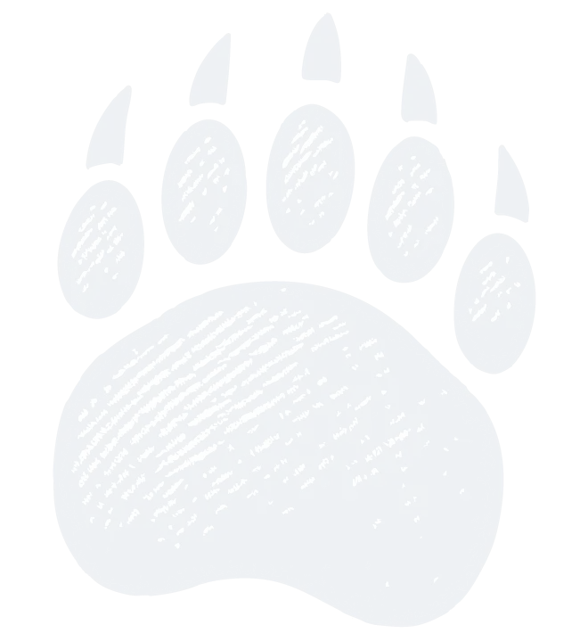 Bear Paw