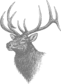 Elk