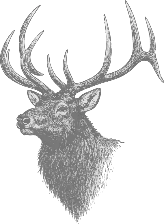 Elk