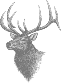 Elk