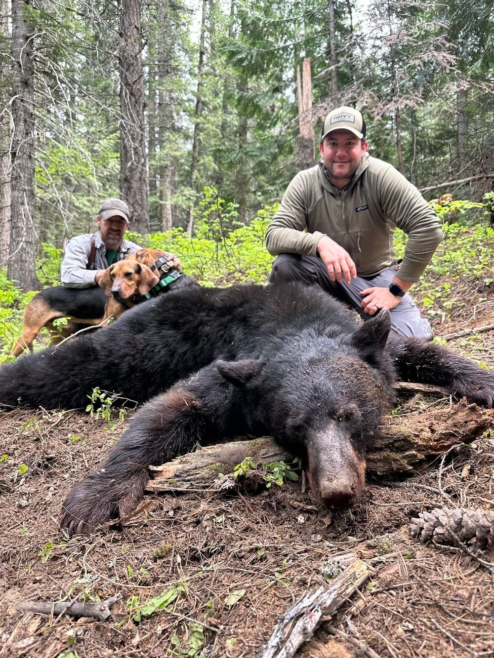 Idaho Whitetail Guides Bear Hunts