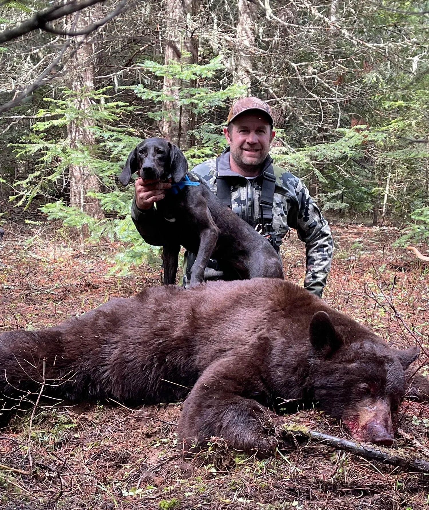 Idaho Whitetail Guides Bear Hunts