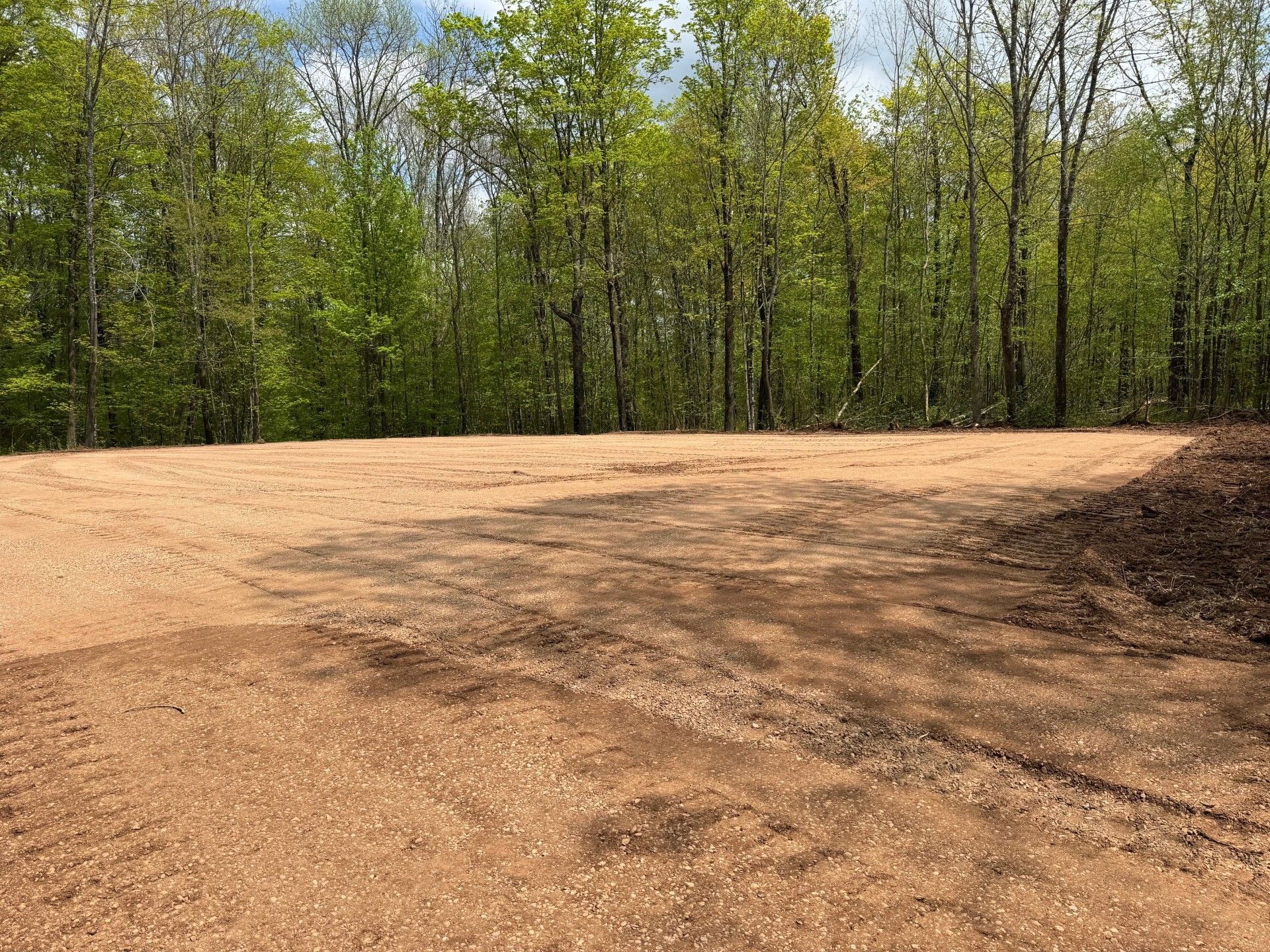 Cleared dirt area in front of a forest, under a blue sky, ideal for building.