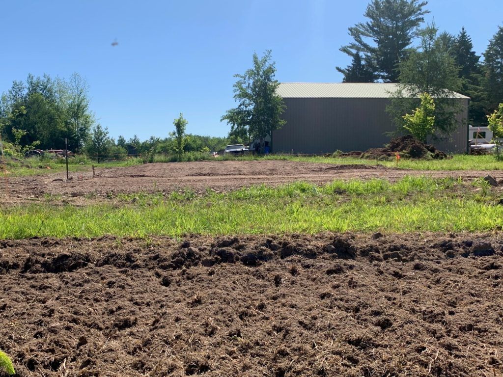 Cleared Land — Ogema, WI — Jeff Simek Construction Co Inc