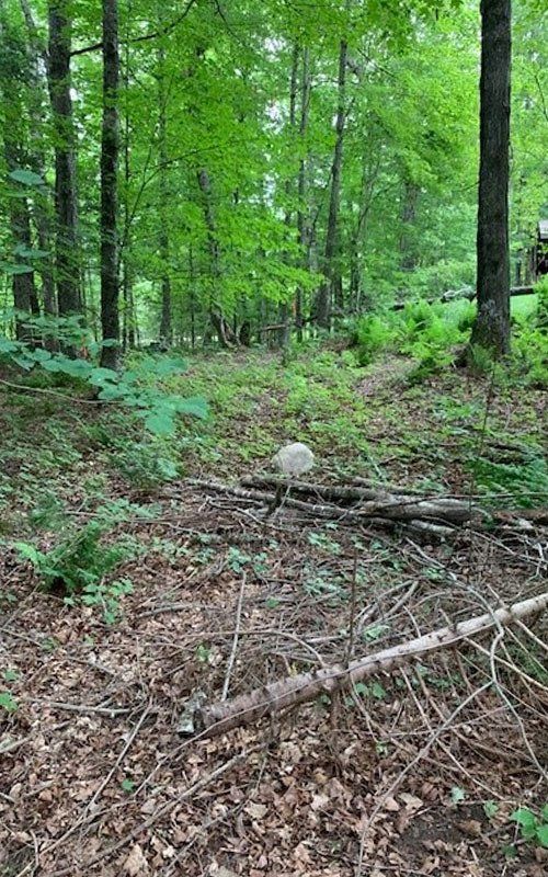 Before Land Clearing — Ogema, WI — Jeff Simek Construction Co Inc