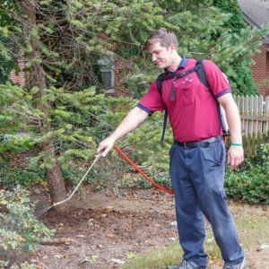 exterminator services in New Holland, PA