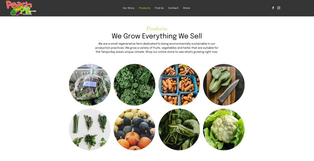 Screenshot of the Products page