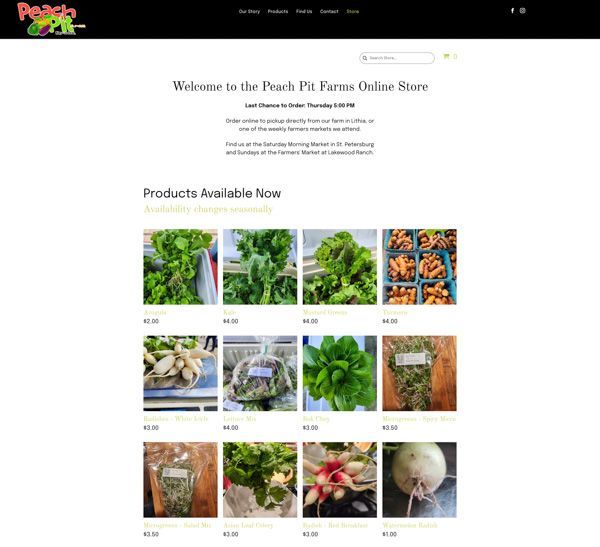 Duda e-commerce website screenshot