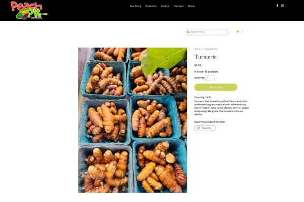 Duda e-commerce website screenshot (product details page)