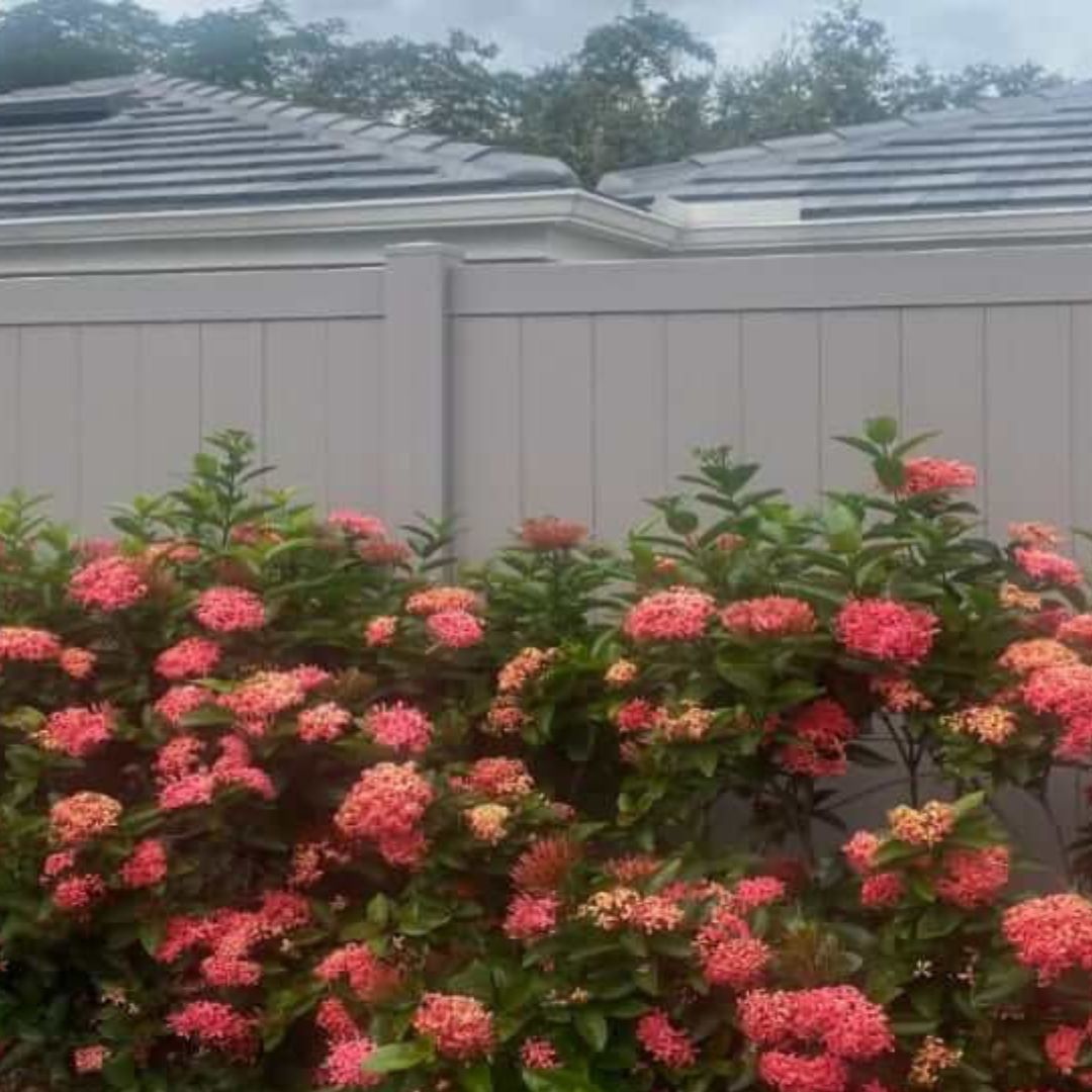 A bush with pink flowers growing next to a white fence.