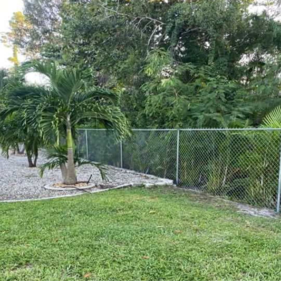 A chain link fence surrounds a lush green yard.