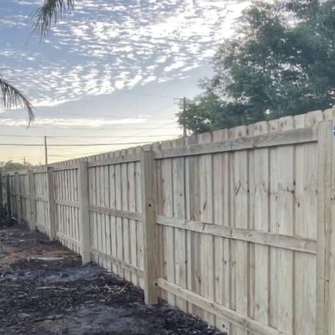 A wooden fence with a palm tree in the background.