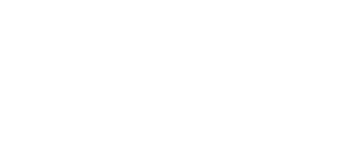 Lynzi Hayes Hair Studio Logo