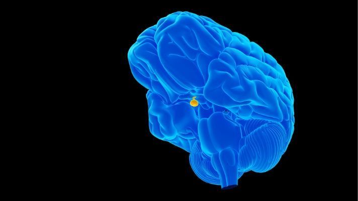 Most Common Pituitary Conditions