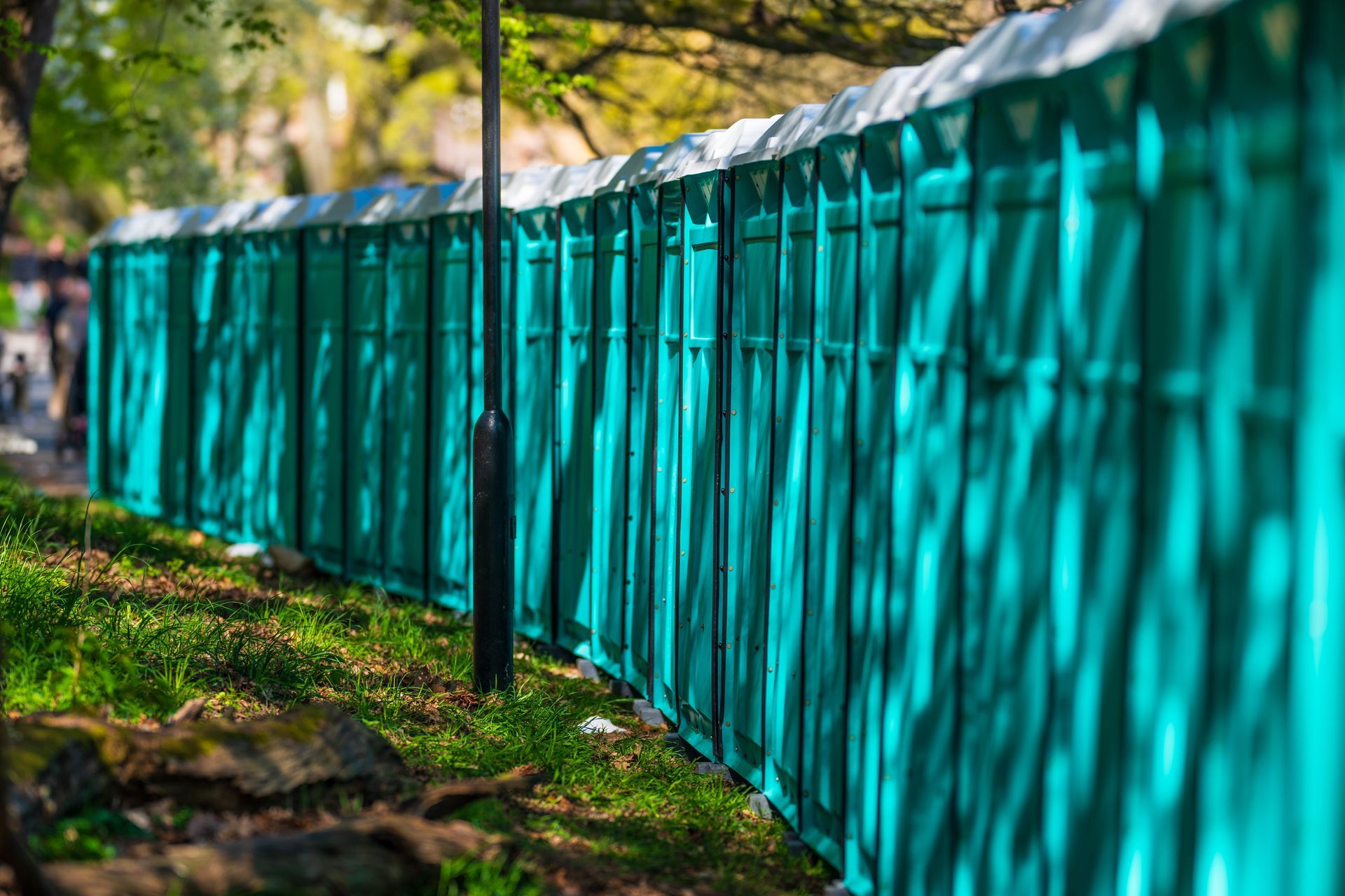 Line of teal portable toilets on a grassy area, sunlight and shadows.