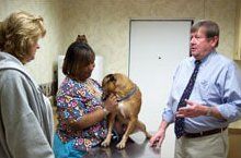 Medical Care For Pets And Animals In Hampton Va Armistead Avenue Veterinary Hospital