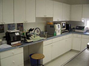 Specimen Laboratory — Hampton VA — Armistead Avenue Veterinary Hospital