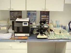 Laboratory Equipment — Hampton VA — Armistead Avenue Veterinary Hospital
