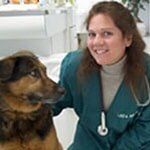 Dr. Linda Bruce, DVM — Hampton VA — Armistead Avenue Veterinary Hospital