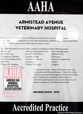 AAHA Accredited Practices — Hampton VA — Armistead Avenue Veterinary Hospital