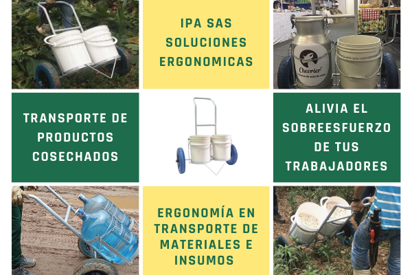 Ergonomía en transporte de materiales e insumos Ergonomía en transporte de materiales e insumos