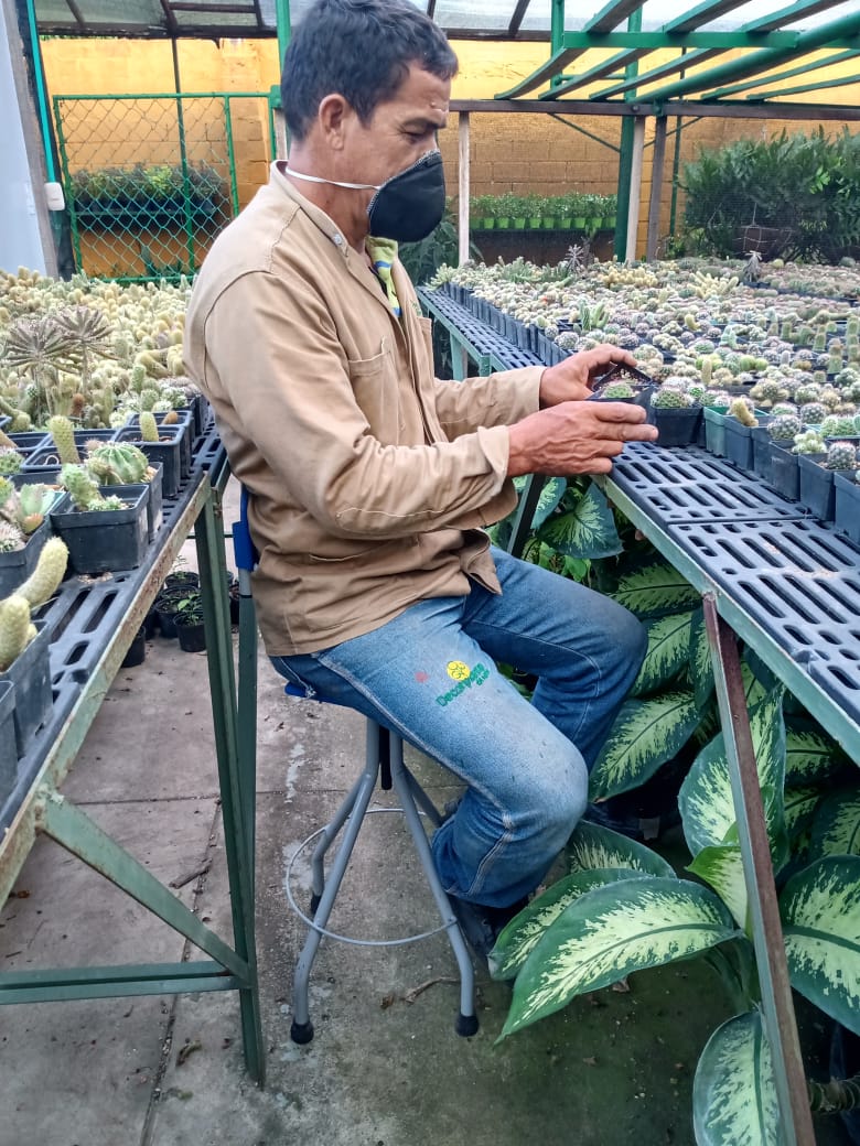 Ergonomía en trabajos de selección Ergonomía en trabajos de selección