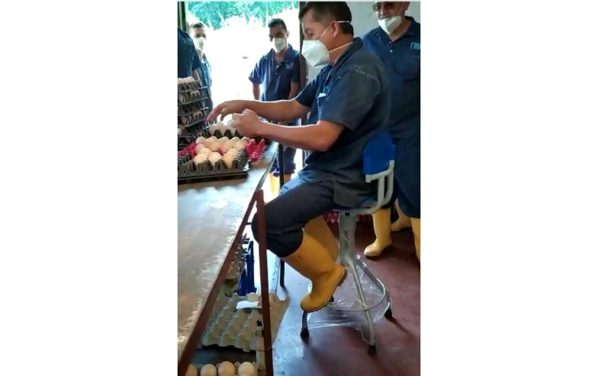 Silla alta apoyo lumbar