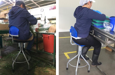 Silla alta apoyo lumbar mesón