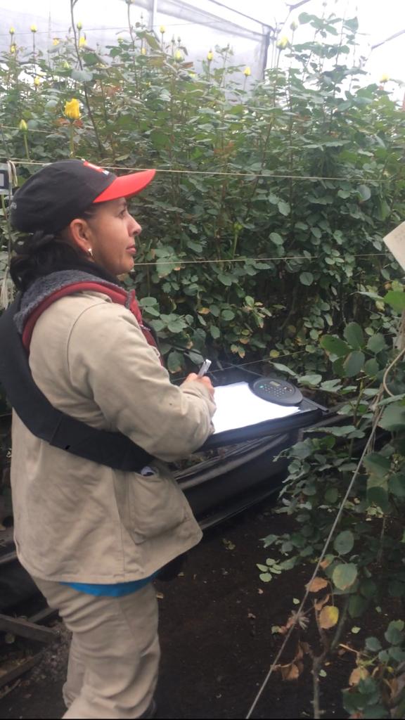 Arnés manos libres para toma de información Arnés manos libres para toma de información