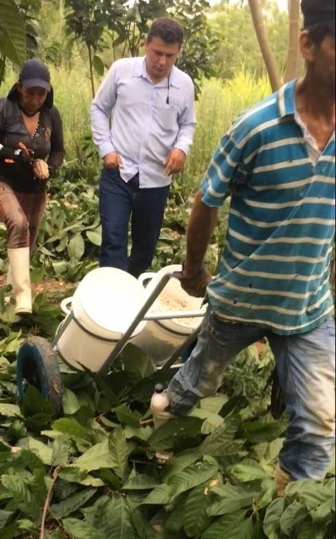 Mesa rodante, altura graduable