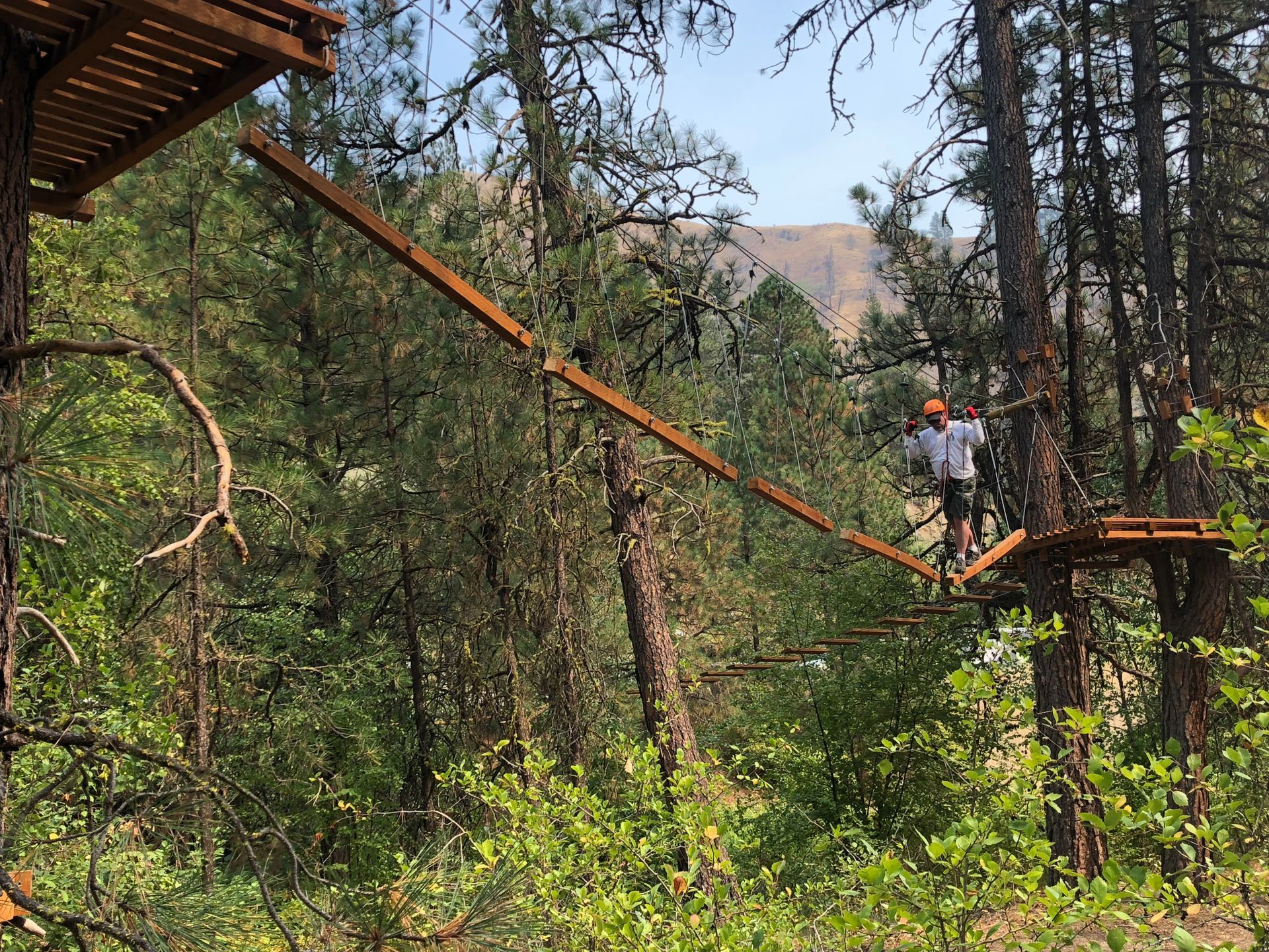 High ropes course in forest with mountains in the background