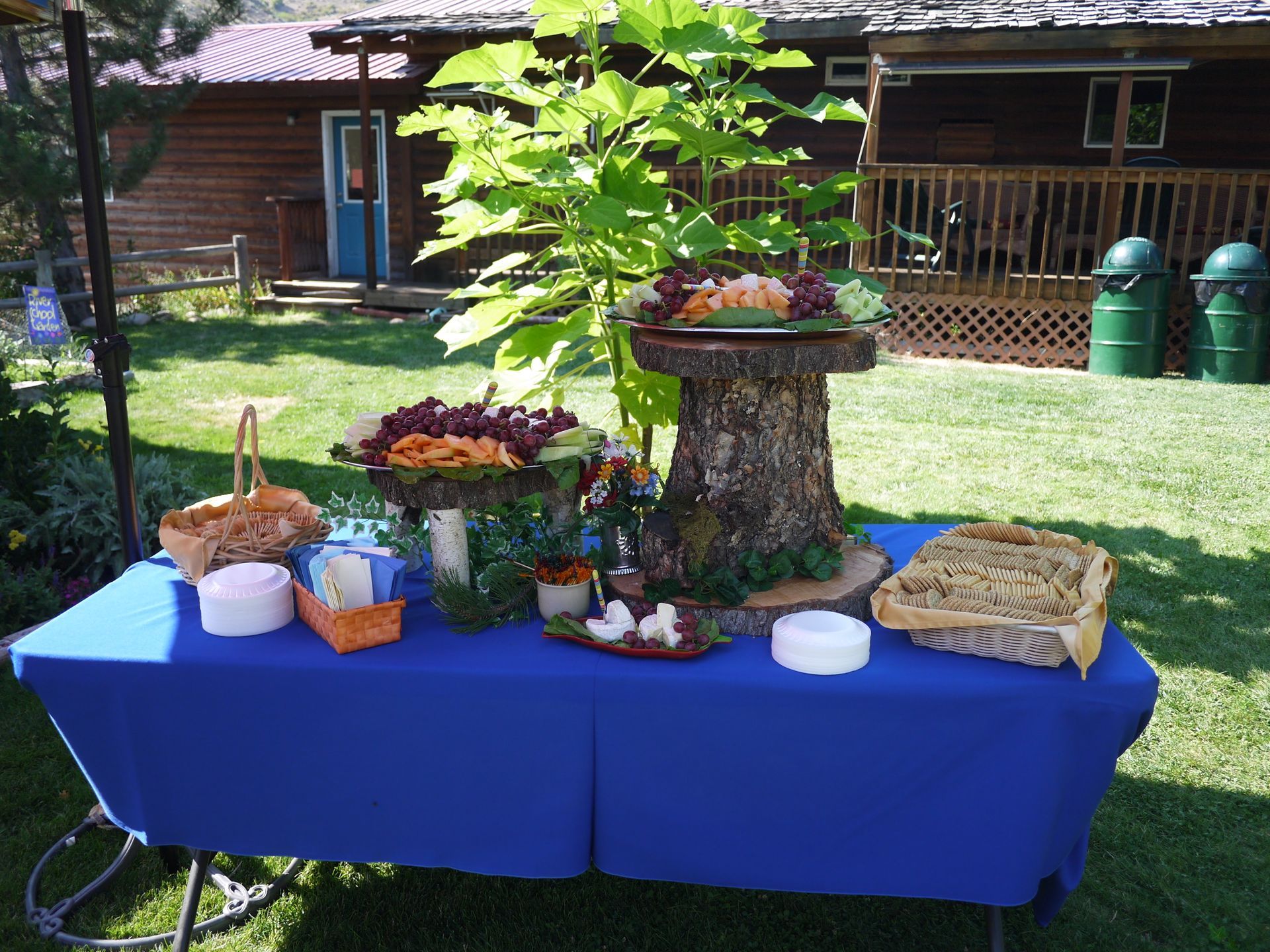 Serving table of food on grass after whitewater rafting