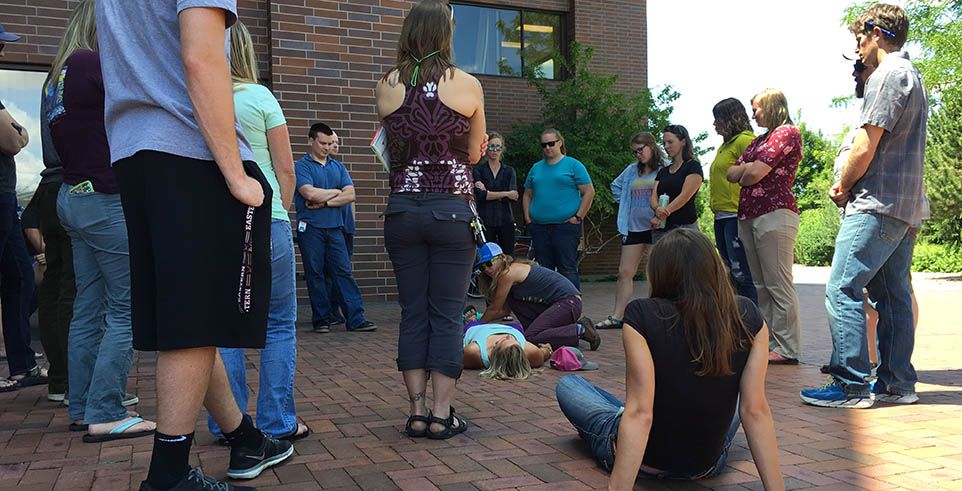 Wilderness first aid training in office