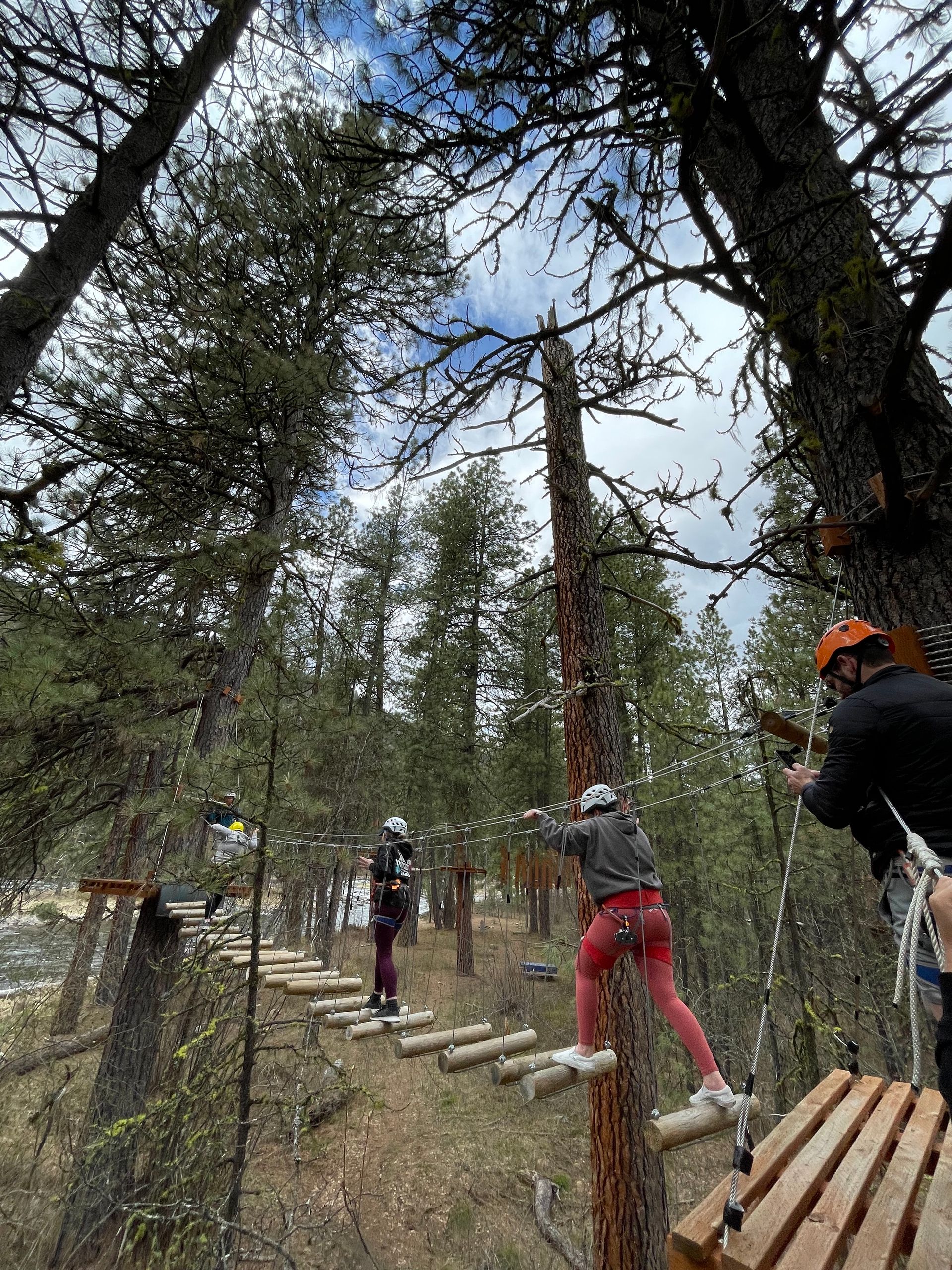 People in trees going across high ropes obstacles