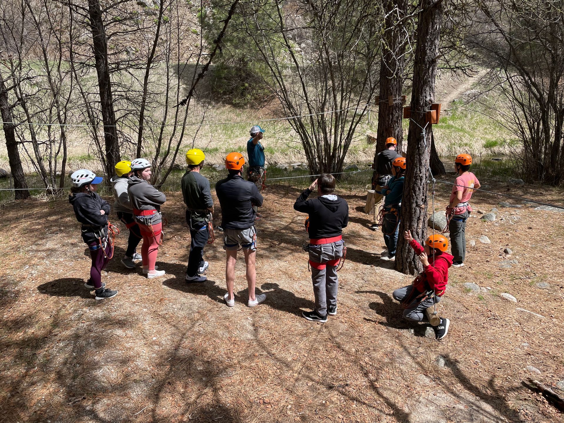 Group learning how to zipline in forest