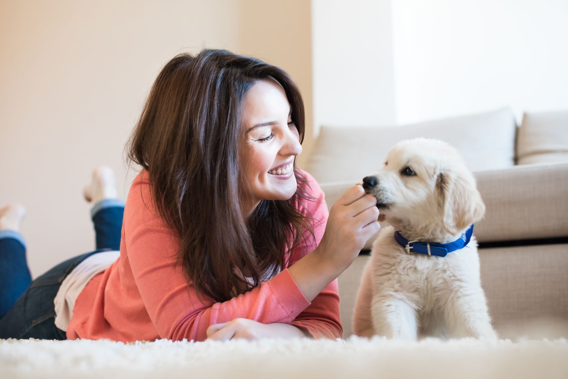 Brunette woman lying on white carpet with an English Cream puppy.