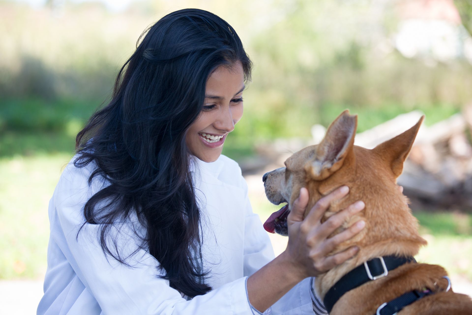 Female Pet Parent looking into mixed breed dog's face.