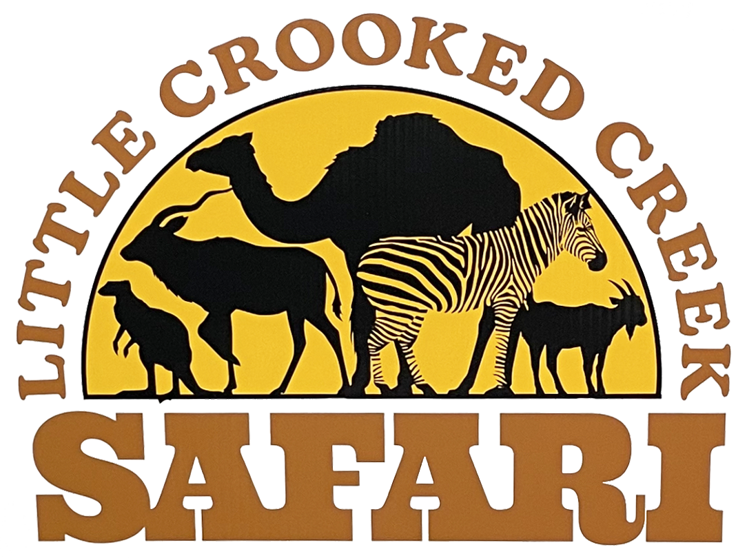 Little Crooked Creek Safari Logo