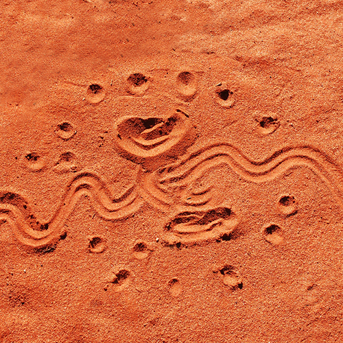 A close up of a snake 's trail in the sand.