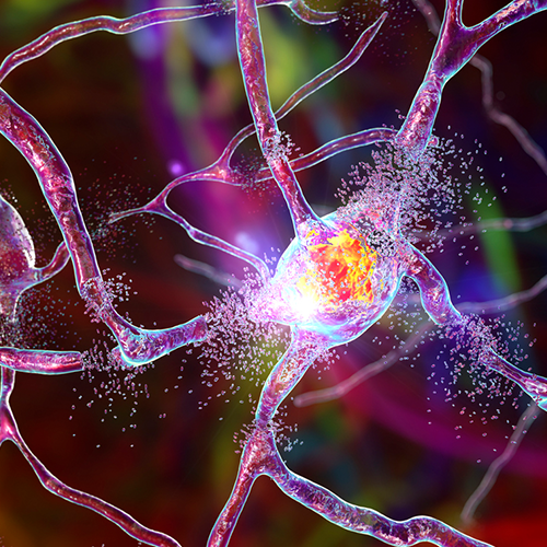 A computer generated image of a nerve cell being attacked by a virus.