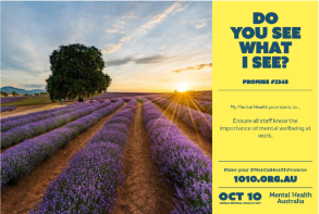 A poster that says do you see what i see