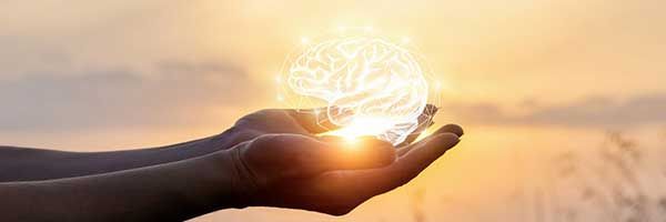 A person is holding a light bulb in their hands.