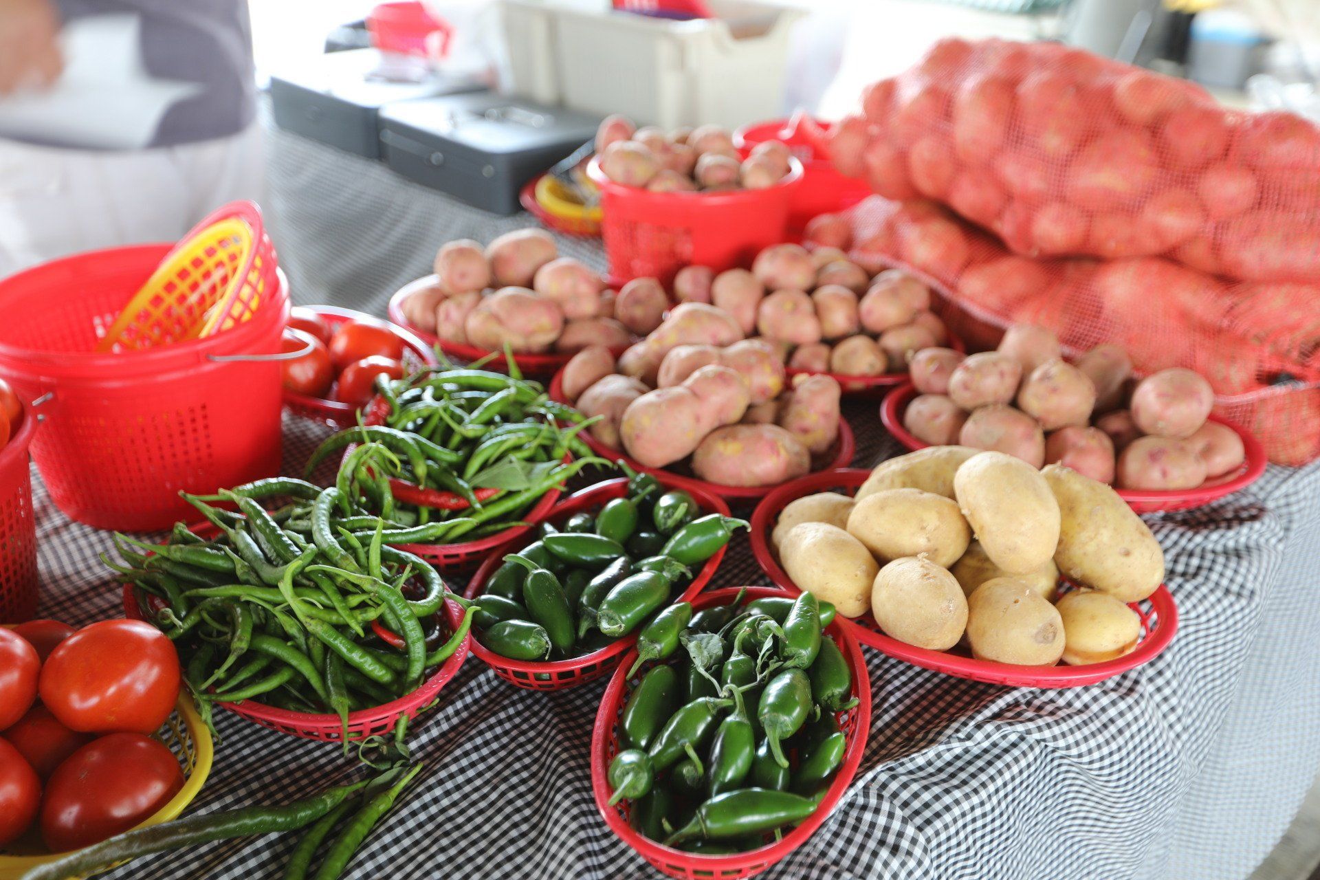 Get to Know Cullman's Oktoberfest