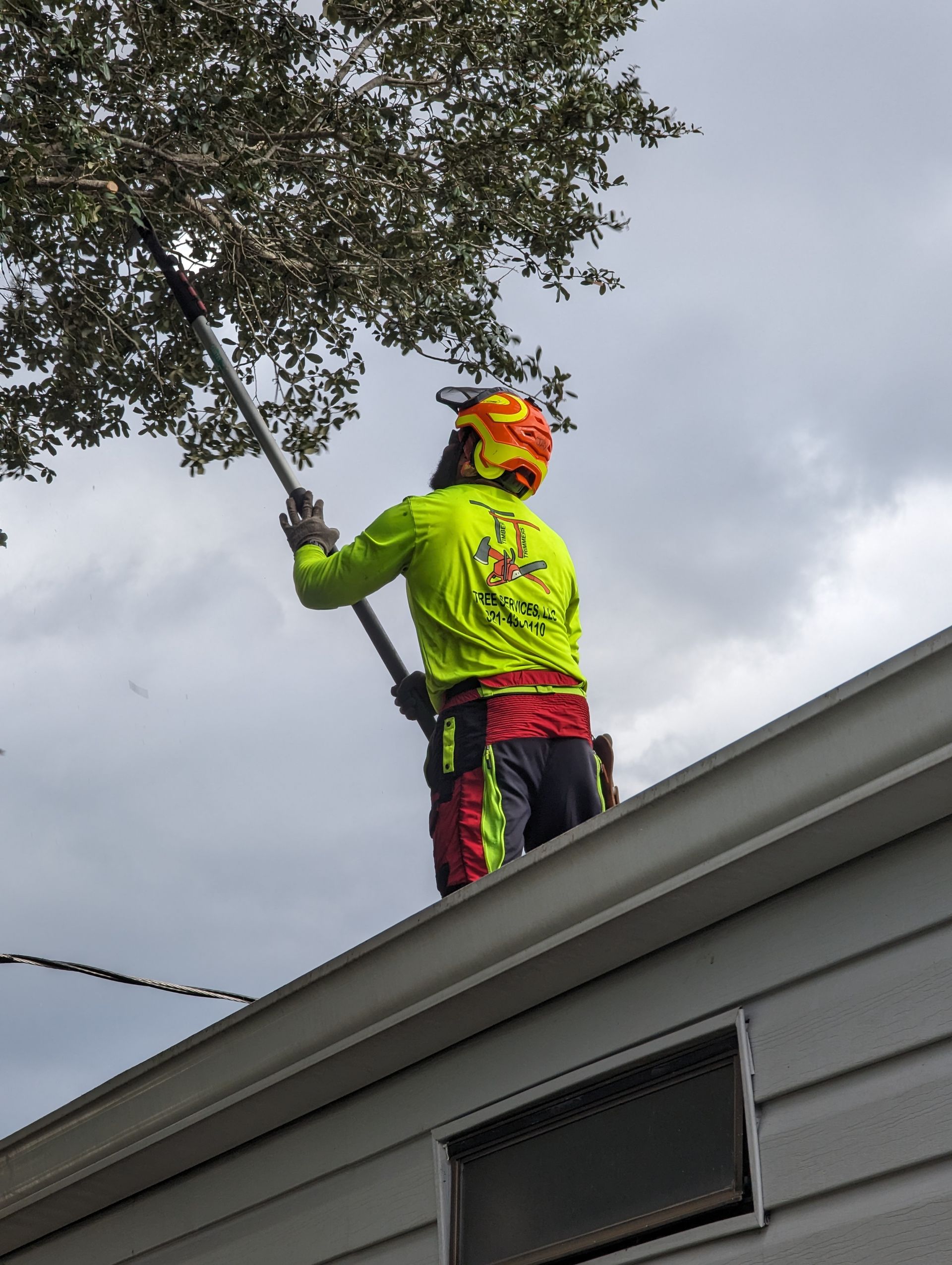 A man is standing on the roof of a house cutting a tree.