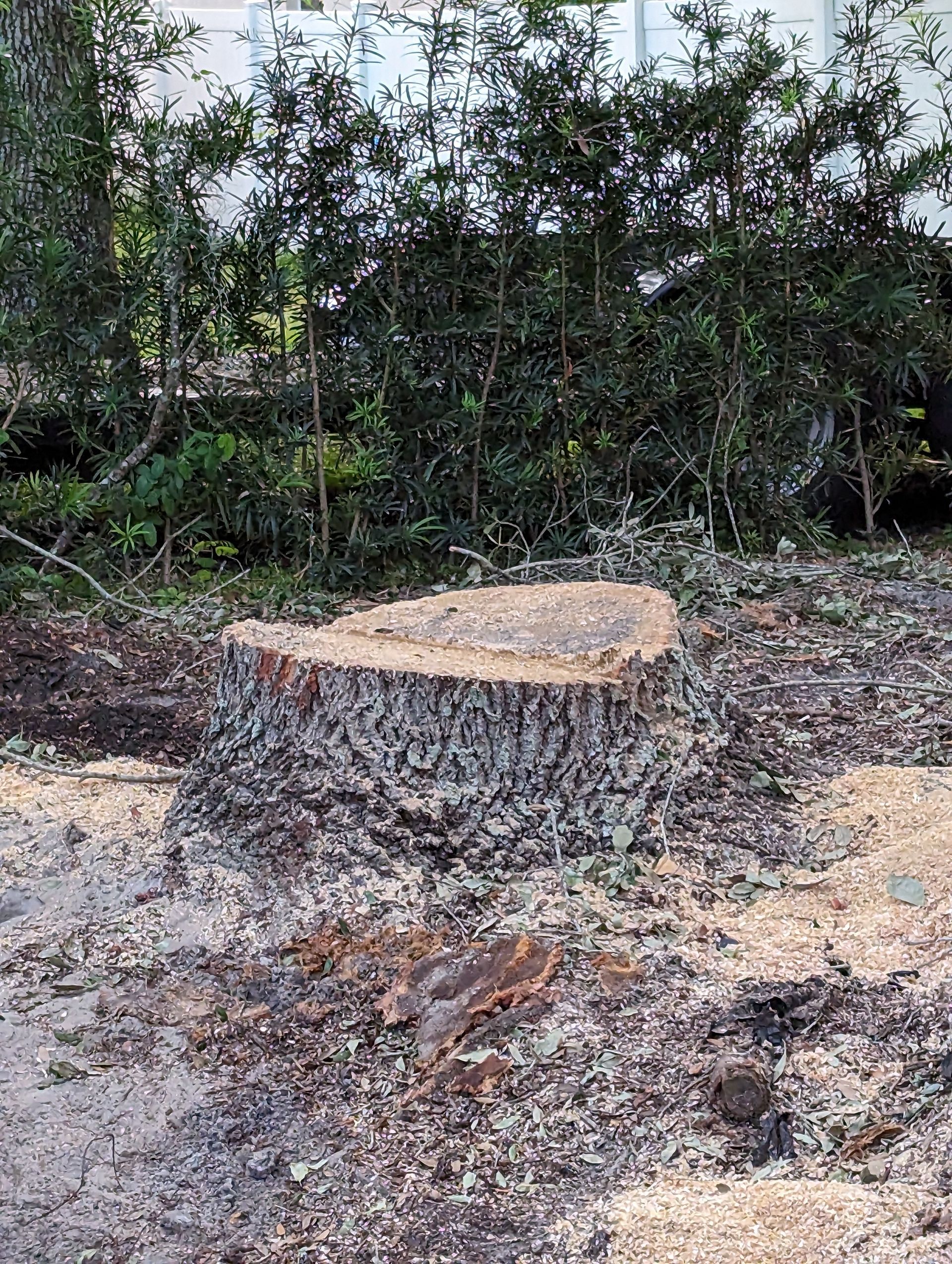 A large tree stump is sitting in the middle of a dirt field.