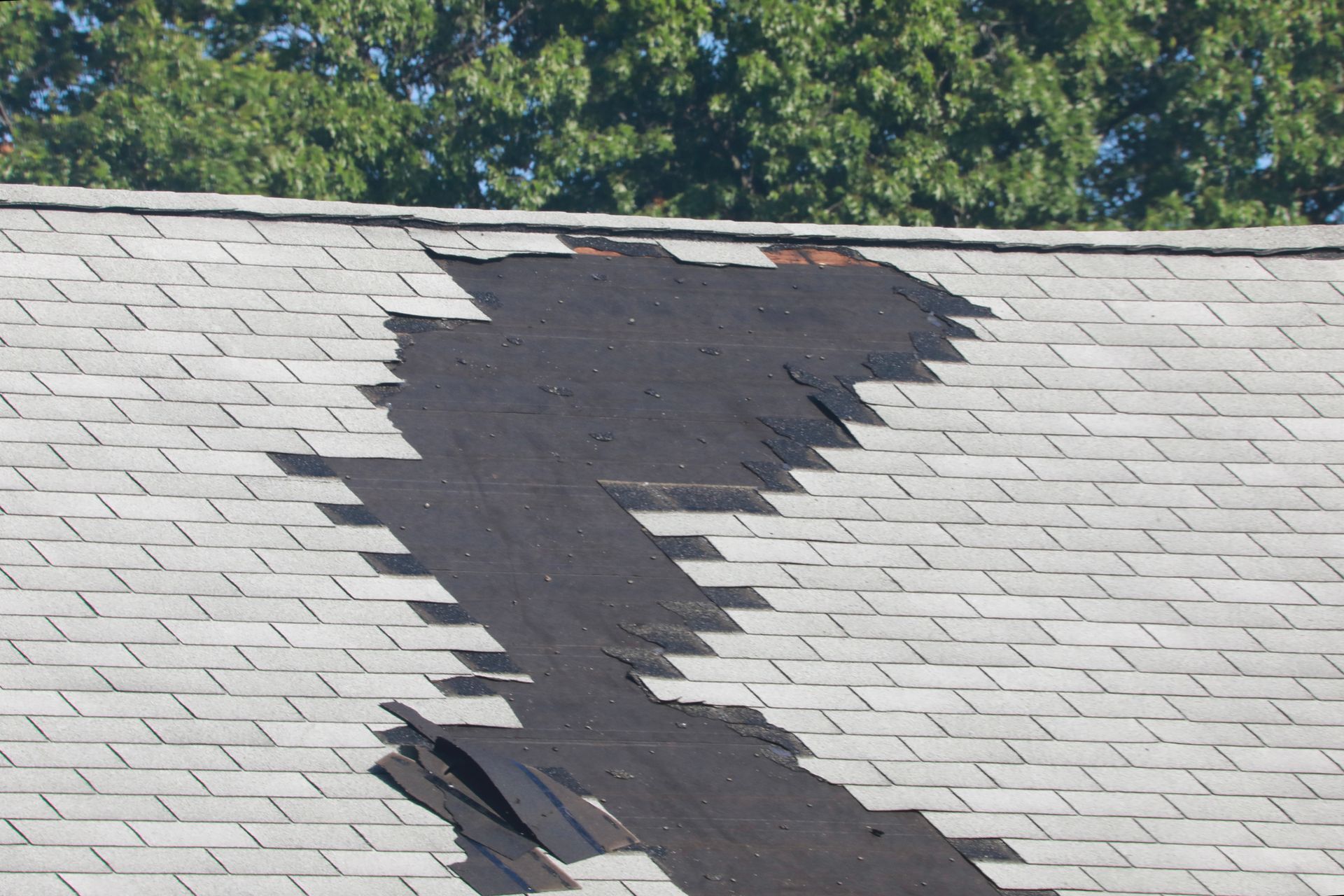 Storm-damaged roof with missing shingles, in need of roofer repair service, with trees behind. Storm-damaged roof with missing shingles, in need of roofer repair service, with trees behind.