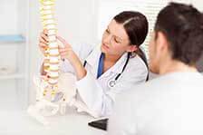 Chiropractor showing patient a spine -  Ogden, UT