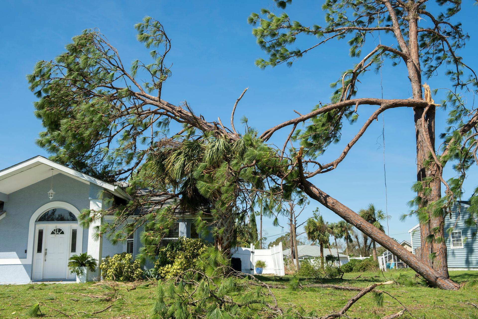 A house with a tree fallen on it in front of it.