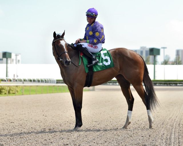 R Adios Jersey and Shivaree Score Florida Stallion Stakes - Past